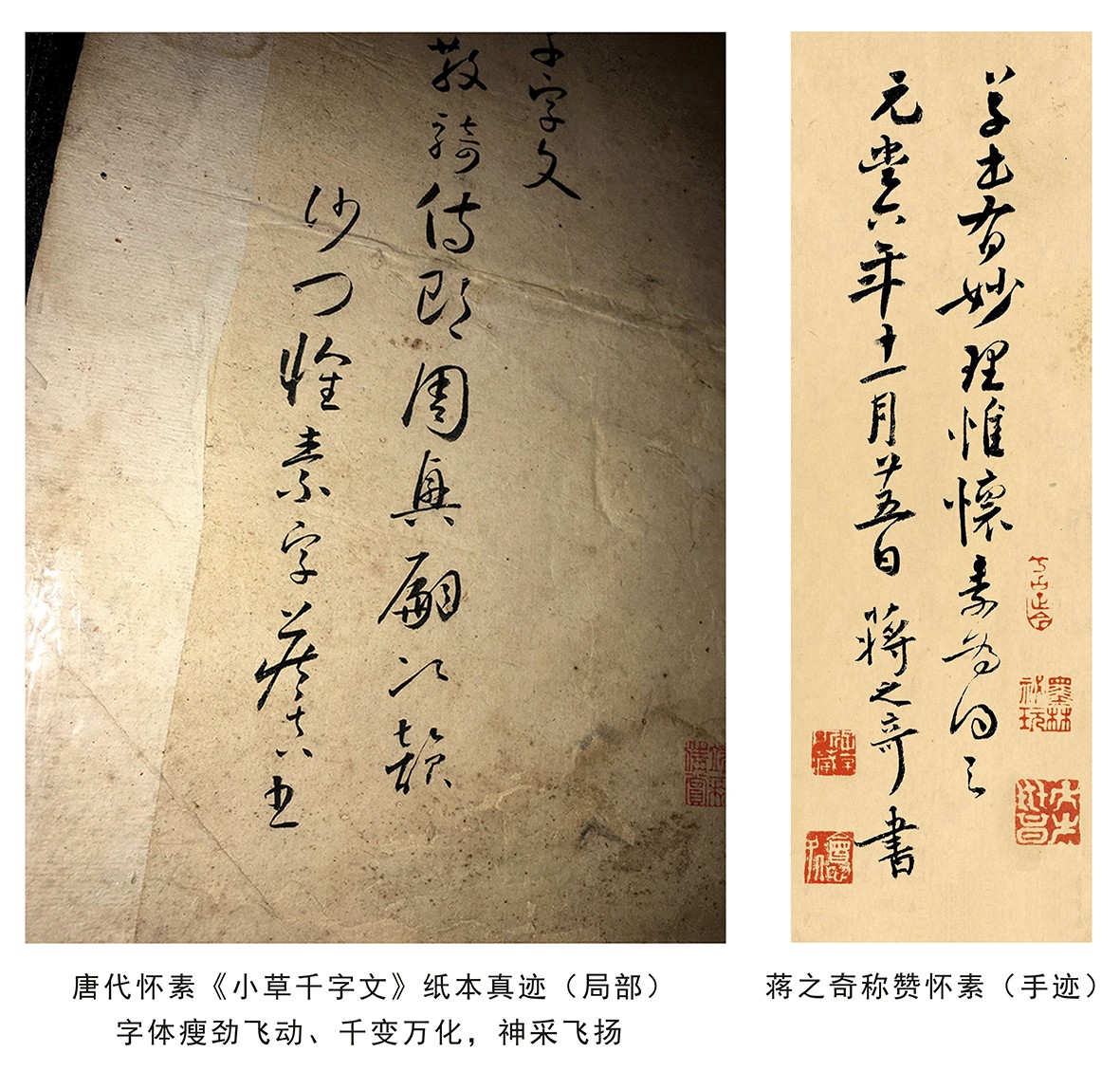 焦点：怀素《小草千字文》纸本真迹发现5周年，改写怀素历史